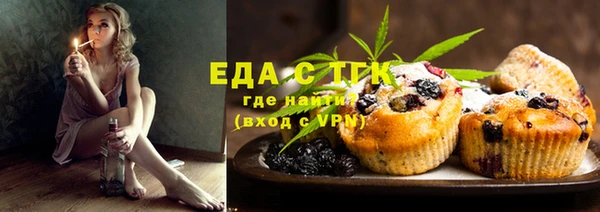 шишки Ельня