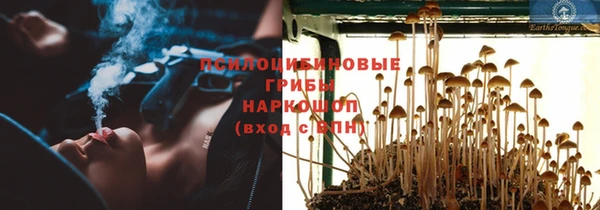 ешки Елабуга