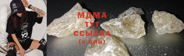 шишки Ельня