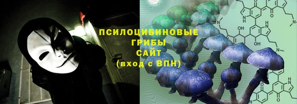a pvp Елизово