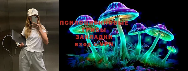 ешки Елабуга