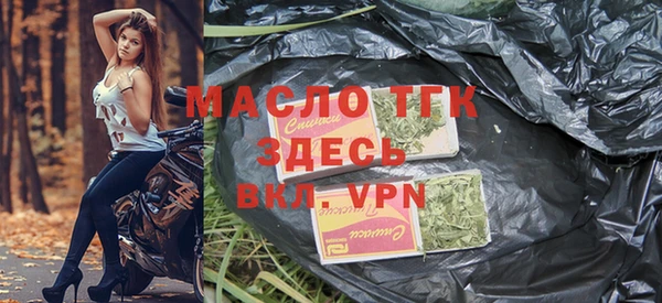 шишки Ельня