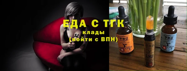 шишки Ельня