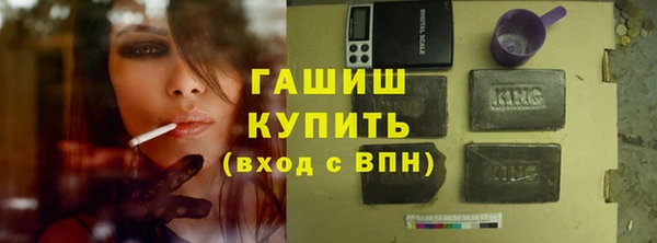шишки Ельня