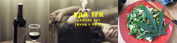 шишки Ельня