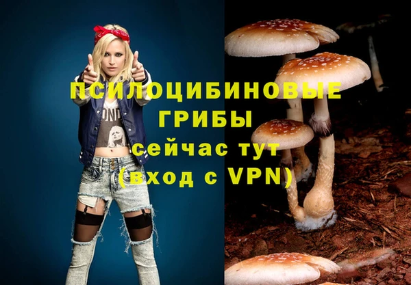 шишки Ельня