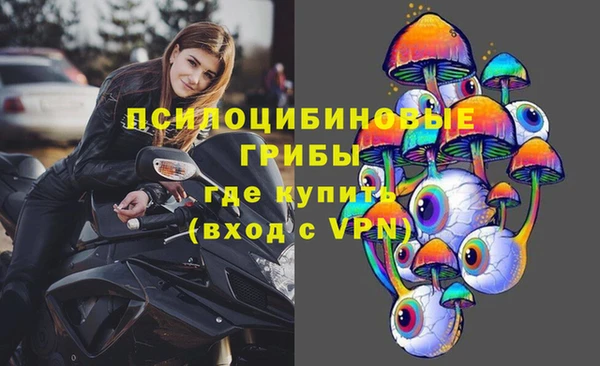 шишки Ельня