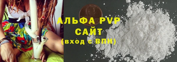 шишки Ельня