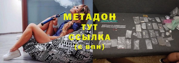 шишки Ельня