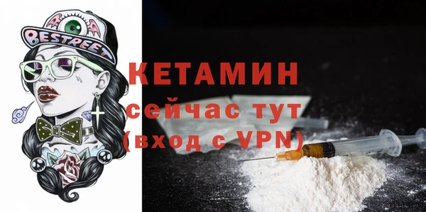 шишки Ельня