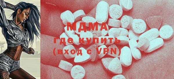 шишки Ельня